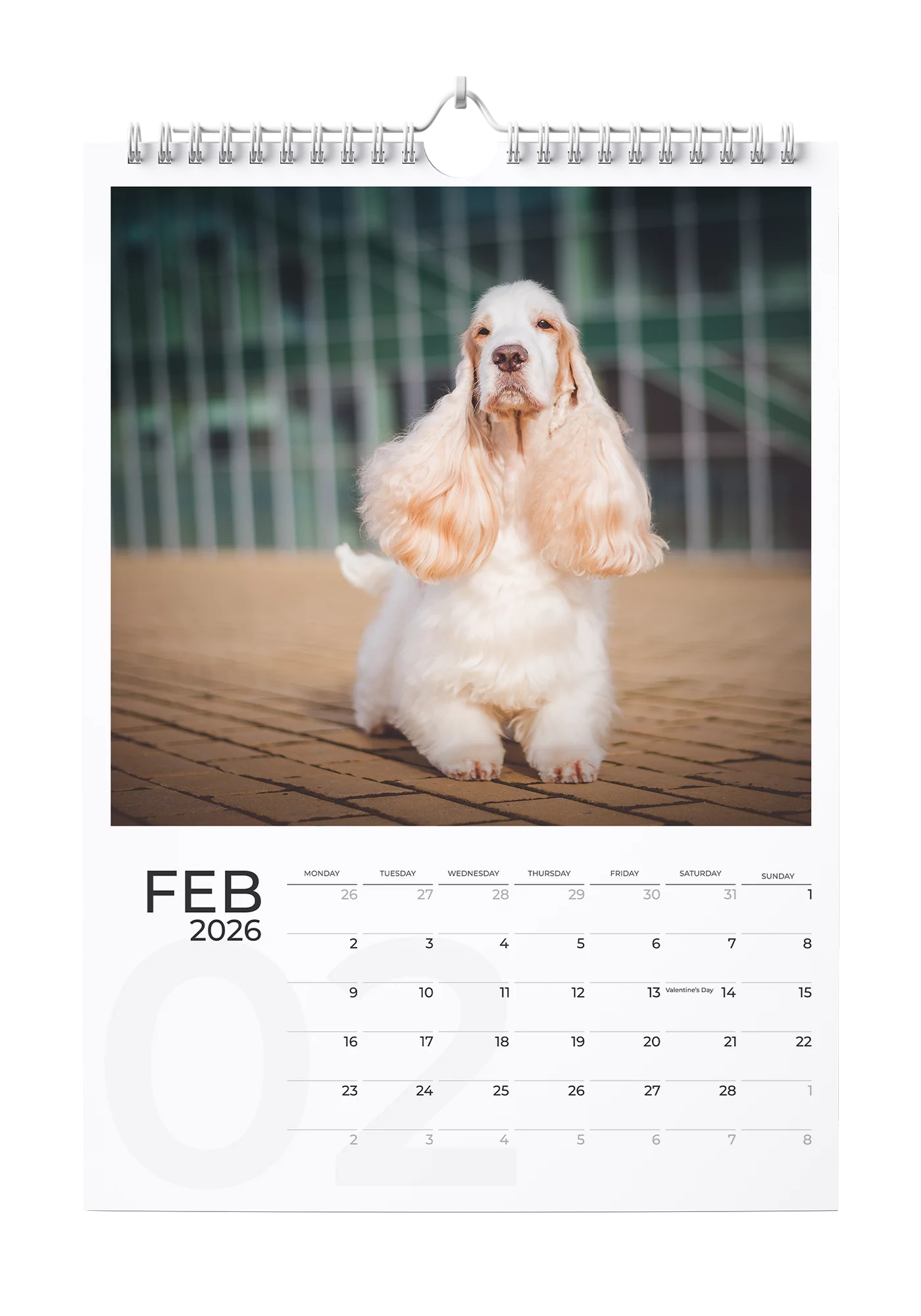 English Cocker Spaniel Calendar 2026 - February