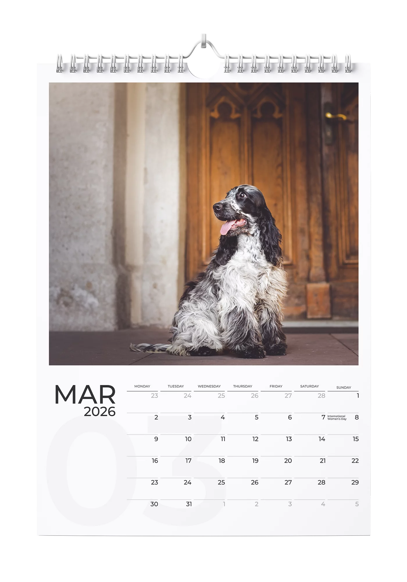 English Cocker Spaniel Calendar 2026 - March