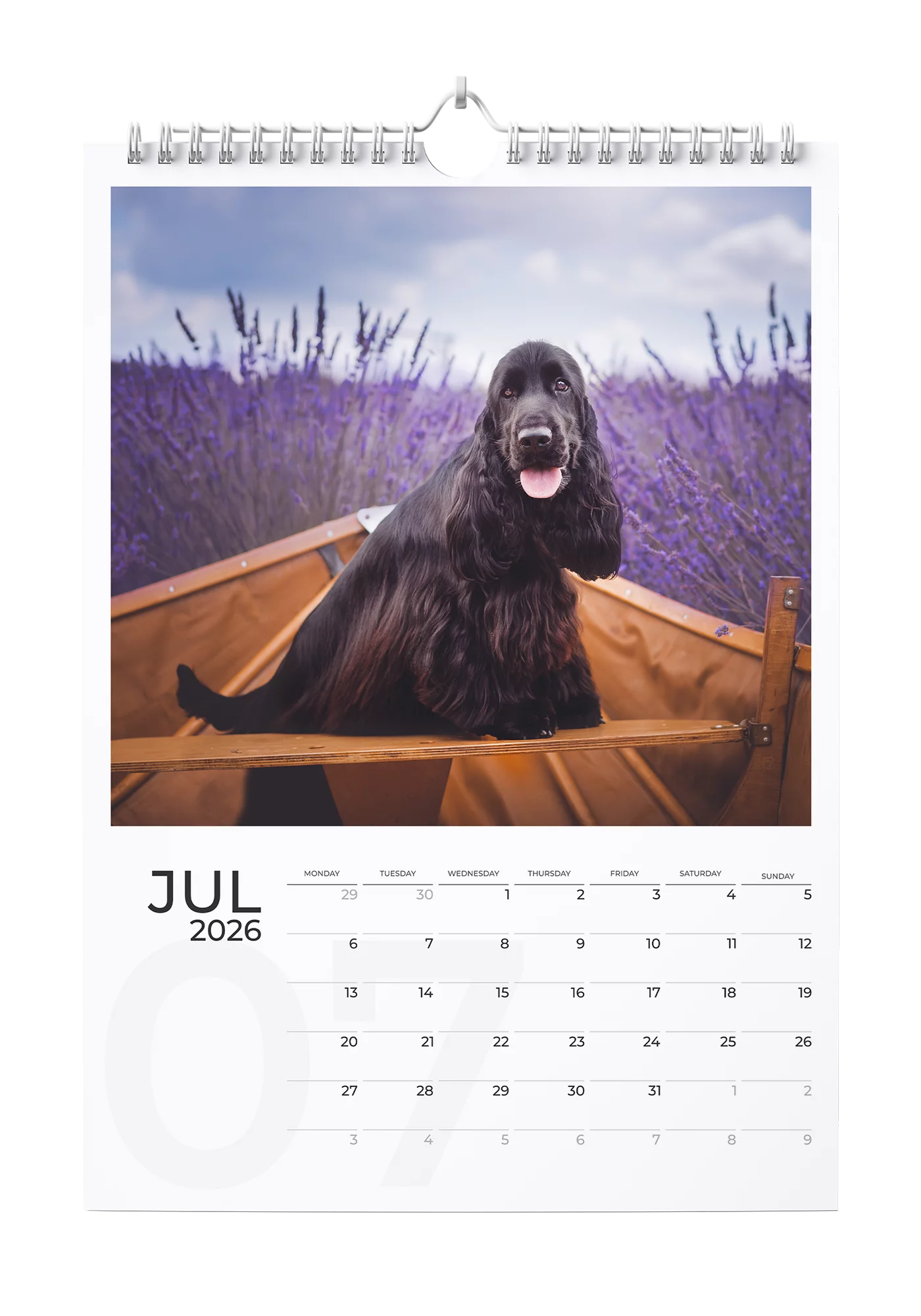 English Cocker Spaniel Calendar 2026 - July